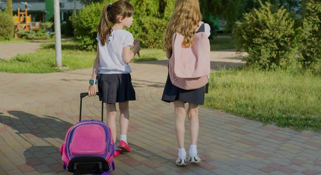 Bolsa con ruedas